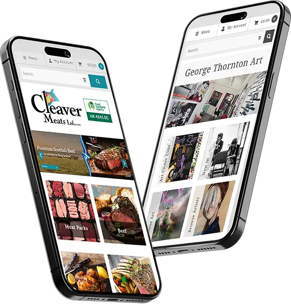 Example Ecommerce Websites